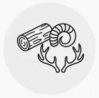 Kaffeholz / Horn / Geweih