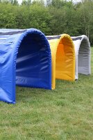 Hoopers-Tunnel nach aktueller Prüfungsordnung  Hellblau