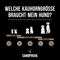 Hundekauhorn vom Schaf XL