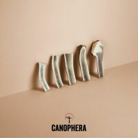 Hundekauartikel aus einer Rothirschgeweihhälfte XS