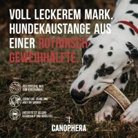 Hundekauartikel aus einer Rothirschgeweihhälfte XS