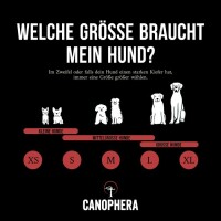 Hundekauartikel aus einer Rothirschgeweihhälfte S