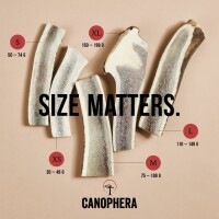 Hundekauartikel aus einer Rothirschgeweihhälfte XL