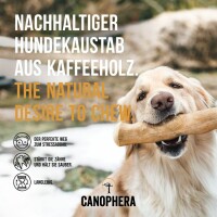 Hundekaustab aus Kaffeeholz S
