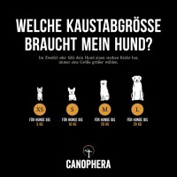 Hundekaustab aus Kaffeeholz S